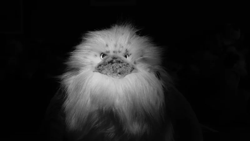 Adbl Yeti Polinesian Forest Neutralna Piana Aktywna 1L Uniwersalny
