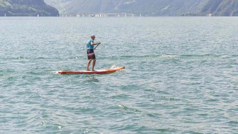 Baseus Metal Paddle 6X Wkład Róża Suxunm0C