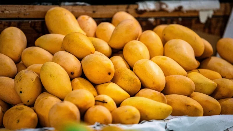 Dr Marcus 2Phases Mango