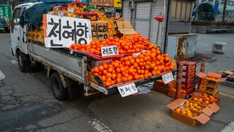 Food truck: nowy trend kulinarny
