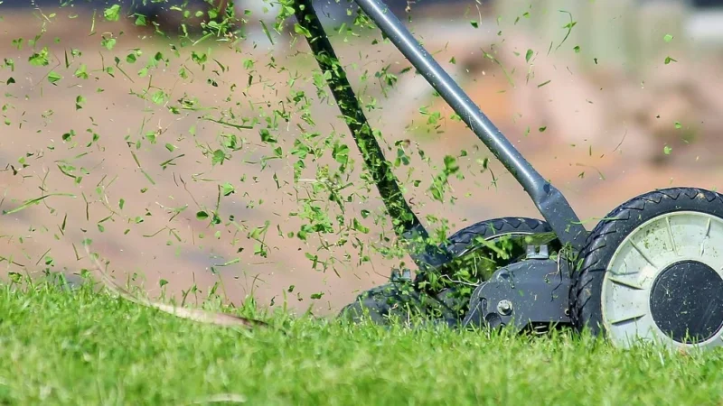 Kosiarki bijakowe — profesjonalne maszyny do koszenia parków