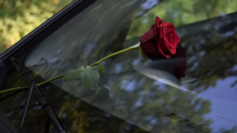 Odkryj najlepsze wycieraczki samochodowe, które sprawią, że Twój pojazd będzie lśnił