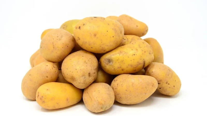 Parys Uniwersalny Środek Czyszczący Atas Dimer 2 Litry Dimer2Kg