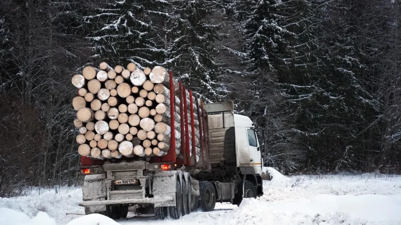 Scania R560 2014r Loglift do drewna lasu